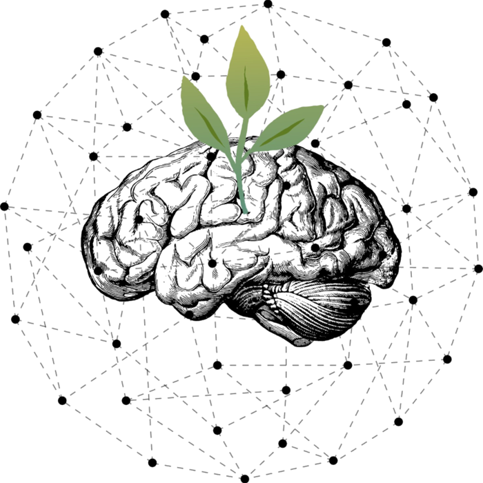 cerveau germe fond transparent